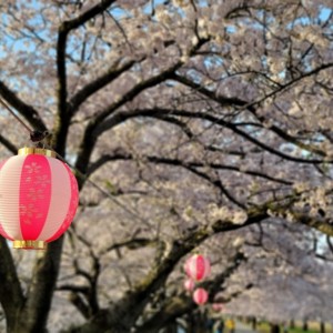 富山　オシャレ　おすすめ